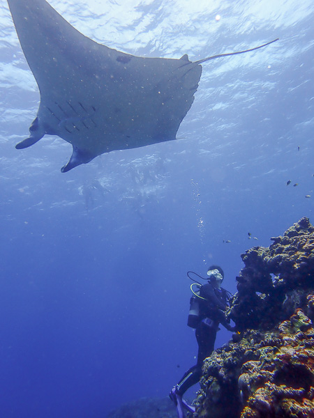 Let’s Go! Introduction Dives