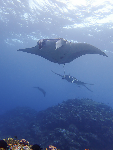 From Sakieda to Kabira, Ishigaki