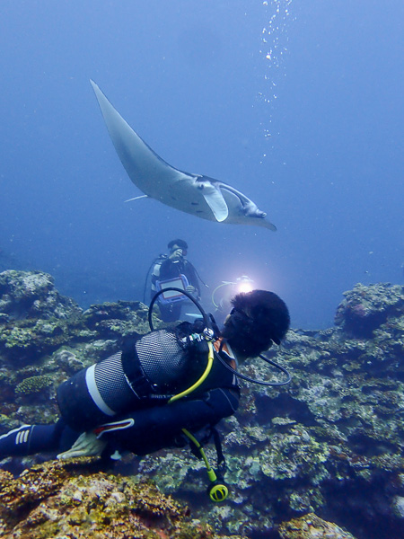 Fun Dives in Ishigaki