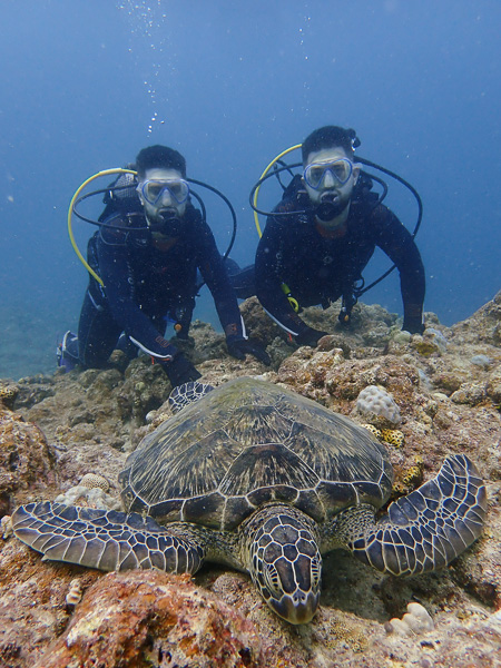 Introduction Dives in Osaki